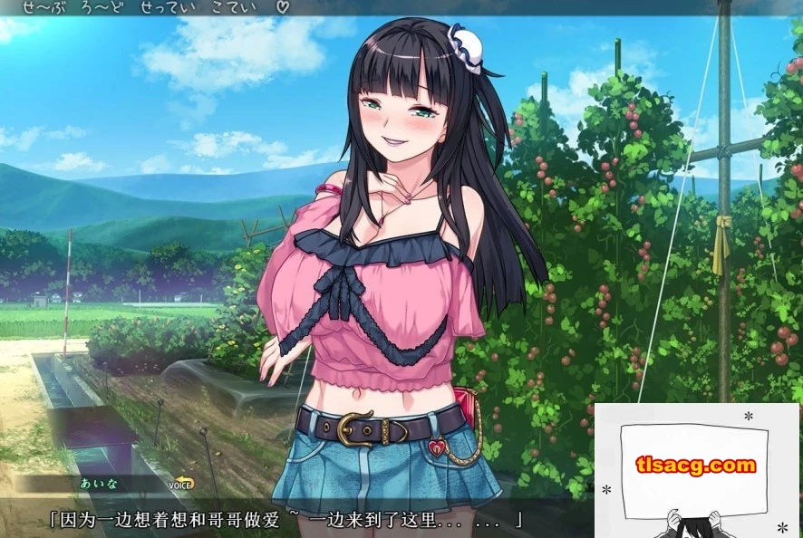 图片[3]-【SD/2D/日式ADV/拔作精品】DSKBJCS-和三名小恶魔的夏日 双端AI精翻【1.5G】-塔洛斯部落