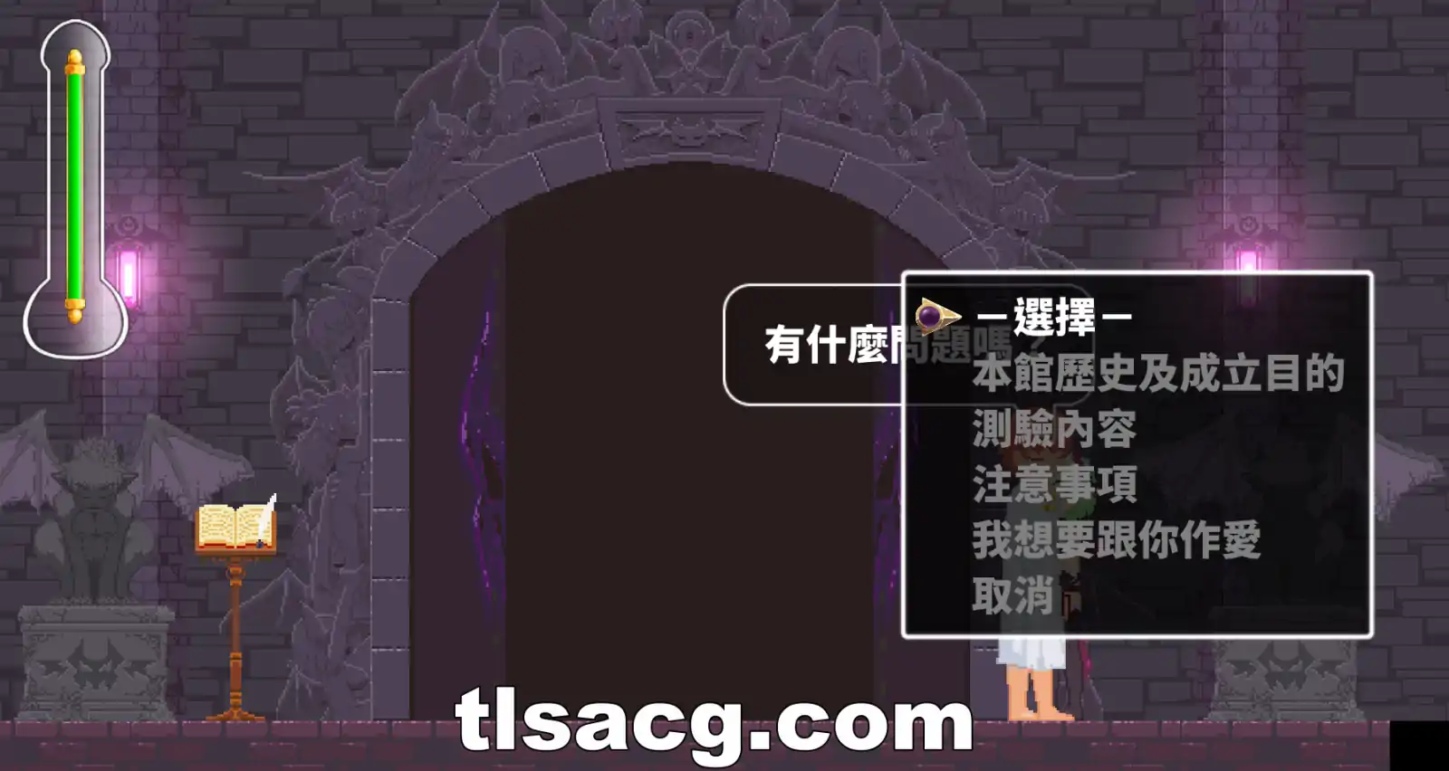 图片[4]-[像素ACT官中]诱惑城堡Castle of Temptation V1.1 官方中文版+存档电脑1.32G￼￼-塔洛斯部落