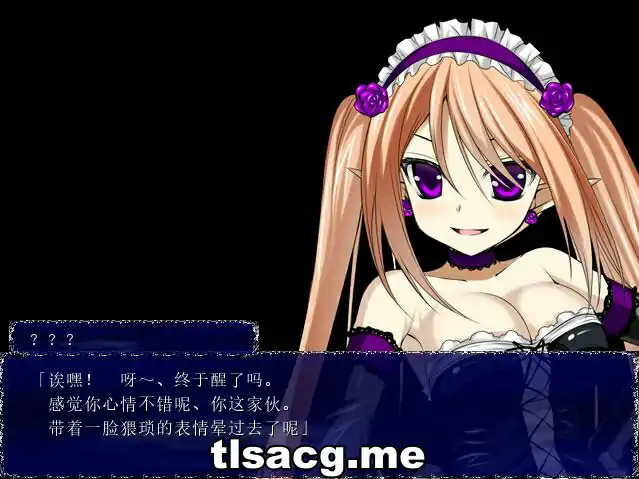 图片[2]-[日式RPG汉化] 魔人戒指与白之圣女 Ver1.0 精修汉化版+全CG电脑500M￼￼-塔洛斯部落